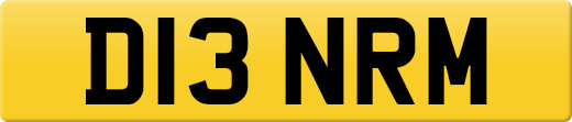 D13NRM