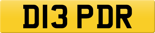 D13PDR
