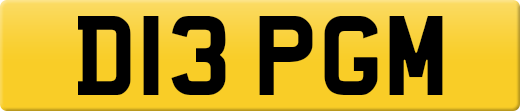 D13PGM