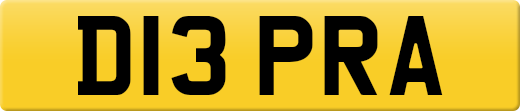 D13PRA