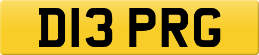 D13PRG