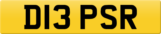 D13PSR