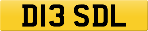 D13SDL