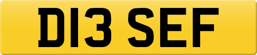 D13SEF