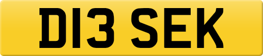 D13SEK
