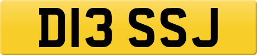 D13SSJ