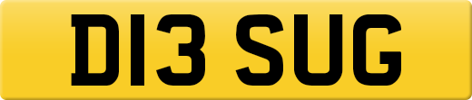 D13SUG