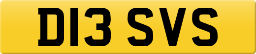 D13SVS