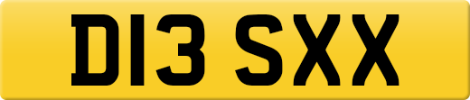 D13SXX