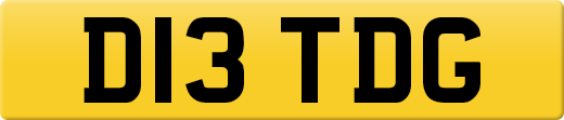 D13TDG