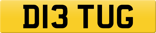 D13TUG