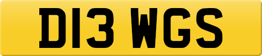 D13WGS