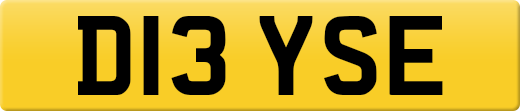 D13YSE