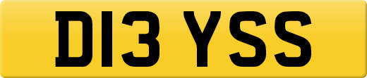 D13YSS
