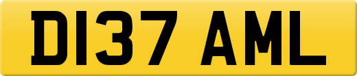 D137AML