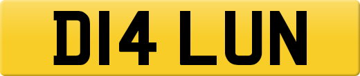 D14LUN