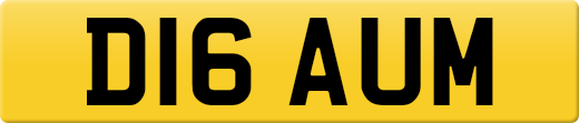 D16AUM