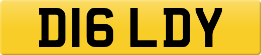 D16LDY