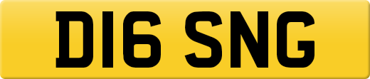 D16SNG