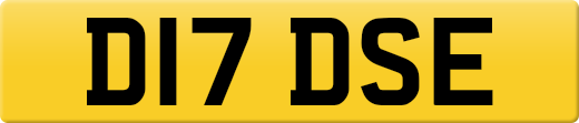 D17DSE