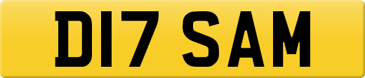 D17SAM