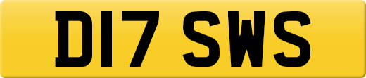 D17SWS