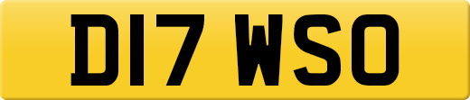D17WSO