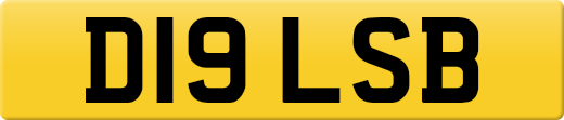 D19LSB