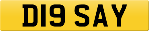 D19SAY