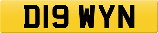 D19WYN