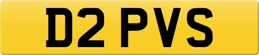 D2PVS