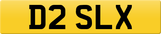 D2SLX