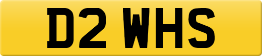 D2WHS