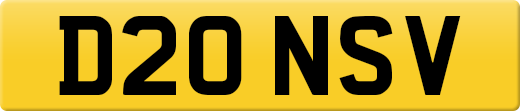 D20NSV
