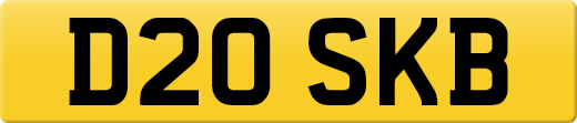 D20SKB