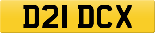 D21DCX