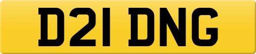 D21DNG