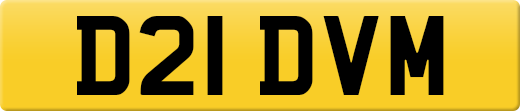 D21DVM