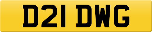 D21DWG