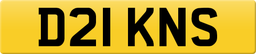D21KNS