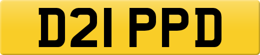 D21PPD
