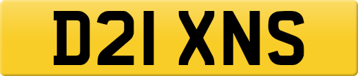 D21XNS