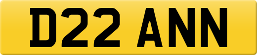 D22ANN