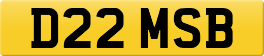 D22MSB