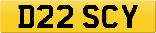 D22SCY