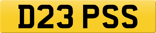 D23PSS