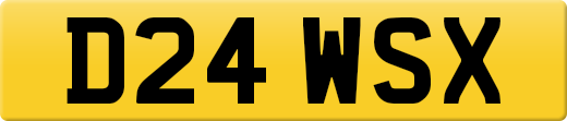 D24WSX
