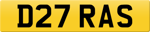 D27RAS