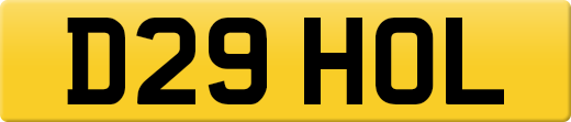 D29HOL