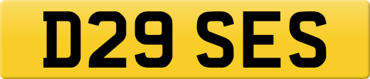 D29SES
